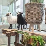 Acora Living The 3* Potsdam